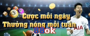88ok